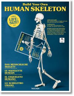 Build Your Own Human Skeleton - Life Size!