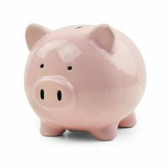 Pusculita - Piggy Coin Bank