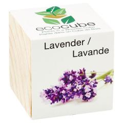 EcoCube Lavender