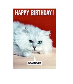 Felicitare - Whatever Cat