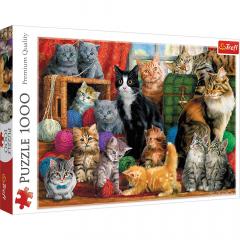 Puzzle 1000 piese - Intalnirea pisicilor / Feline Meetin