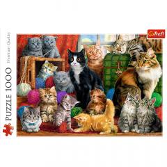Puzzle 1000 piese - Intalnirea pisicilor / Feline Meetin