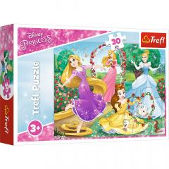 Puzzle 30 piese - Printese Disney in gradina palatului