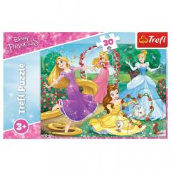 Puzzle 30 piese - Printese Disney in gradina palatului