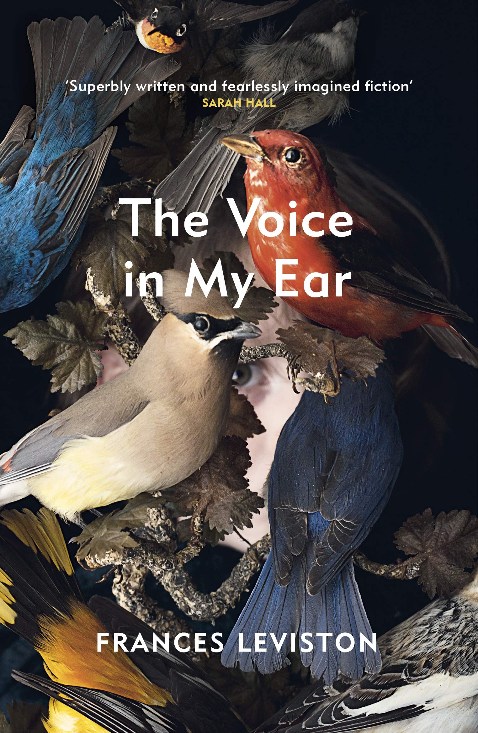 The Voice in My Ear