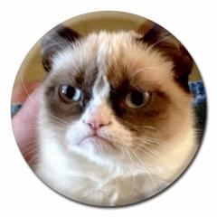 Insigna - Grumpy Cat