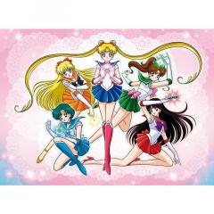 Felicitare - Sailor Moon - mai multe modele