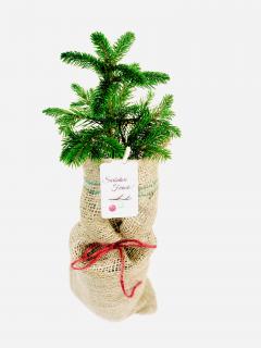 Mini Bradut de Craciun