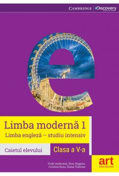 Limba engleza - Studiu intensiv