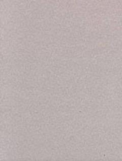 Social Foundations of Thought and Action