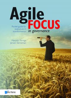 Agile Focus in Governance