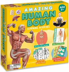 Amazing Activity set - Human Body
