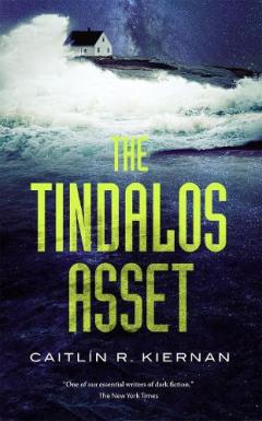 Coperta cărții Tindalos Asset