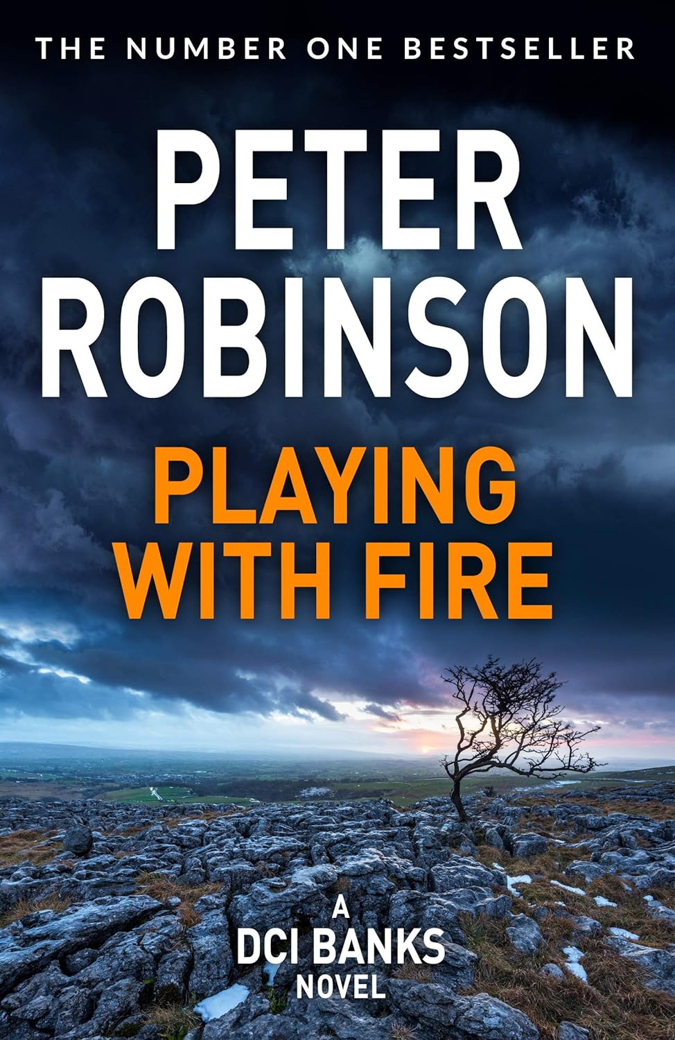 Playing With Fire Peter Robinson