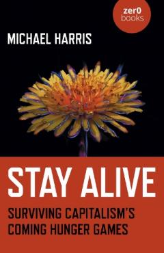Coperta cărții Stay Alive