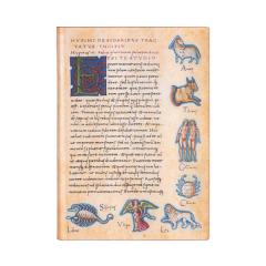 Carnet - Midi, Lined - Astronomica