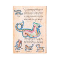 Carnet - Midi, Lined - Astronomica