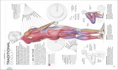Science of Strength Training