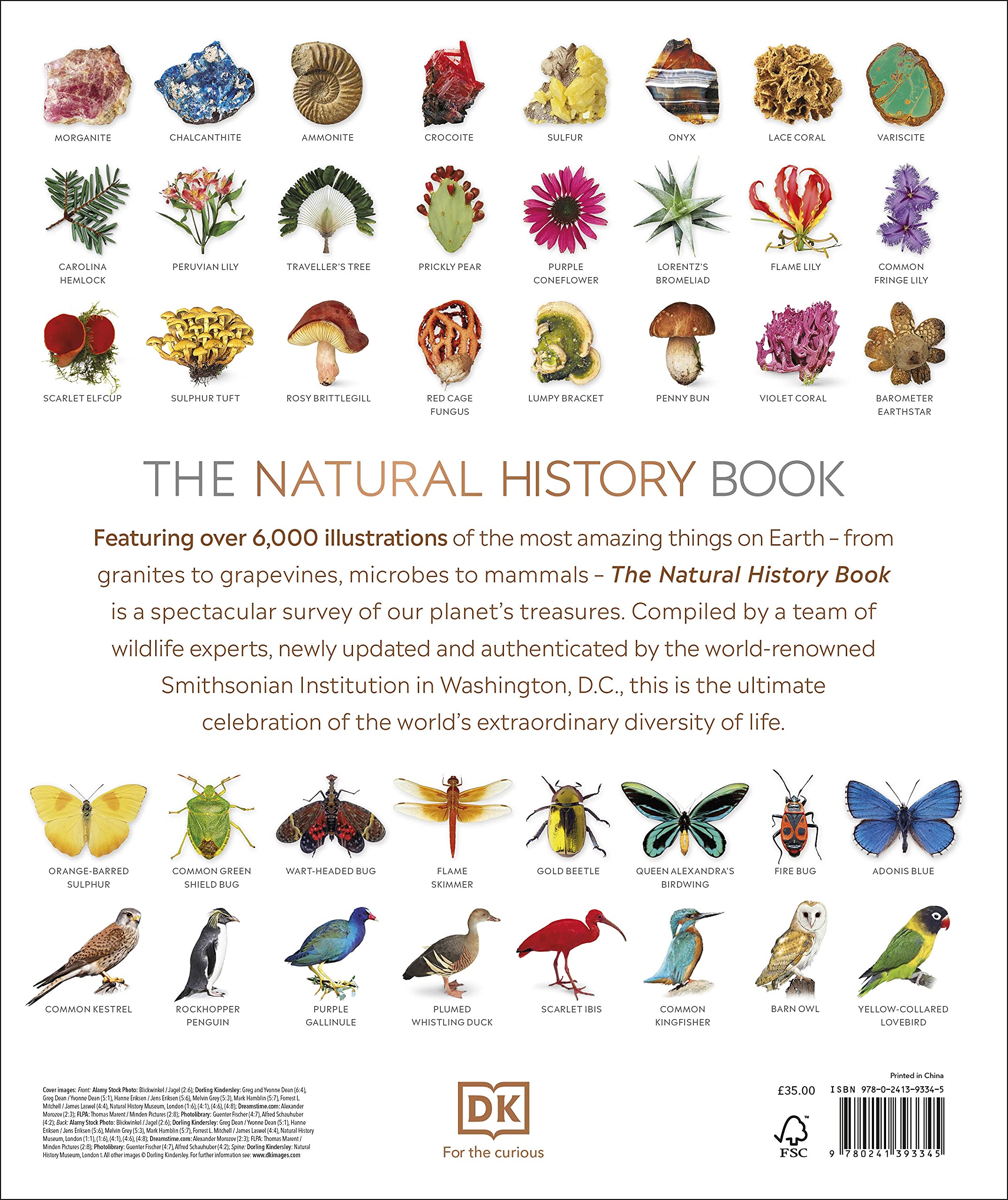 激安大特価！ The Natural History Book - DK 洋書