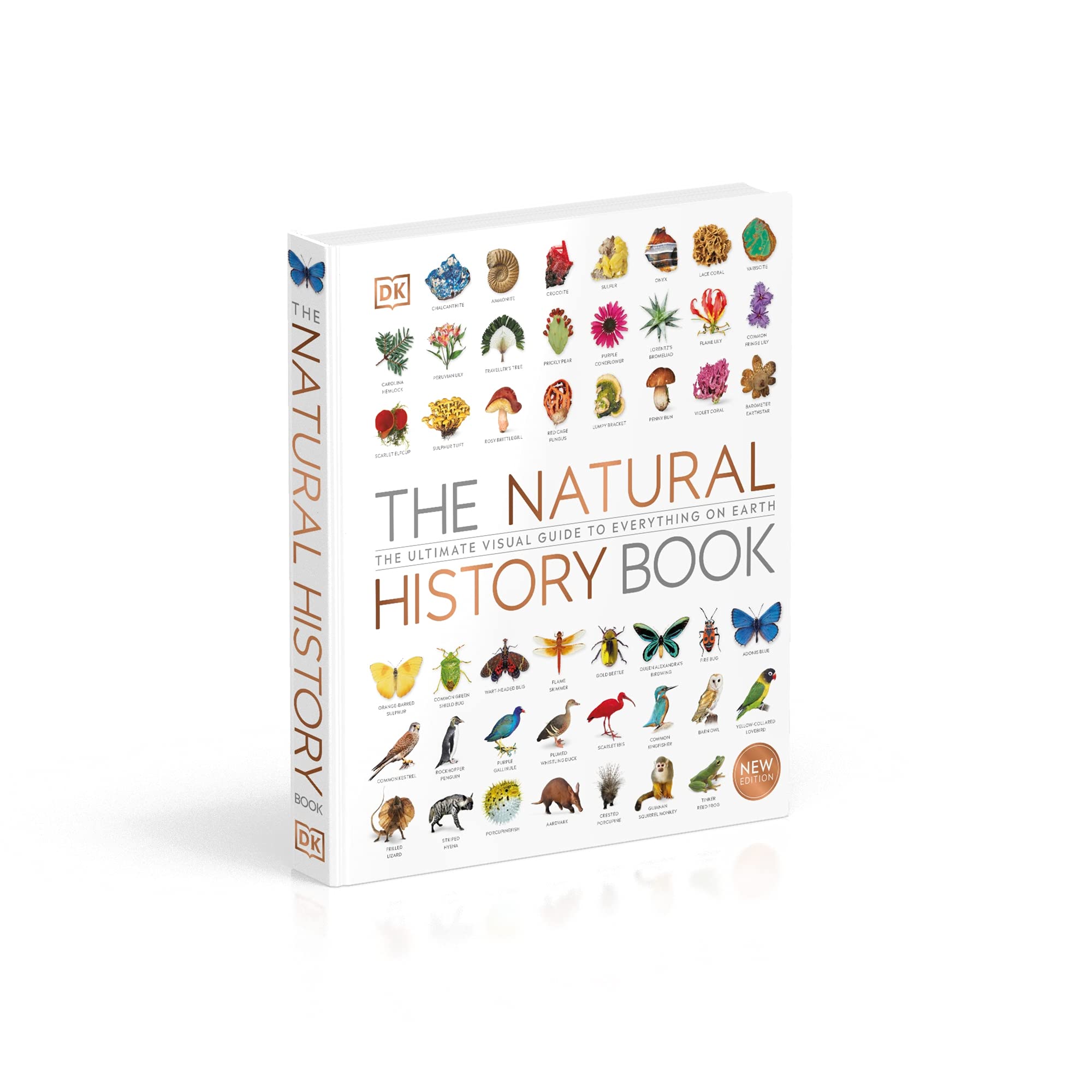 洋書 The natural history book The Natural History Book - *** - elefant.ro