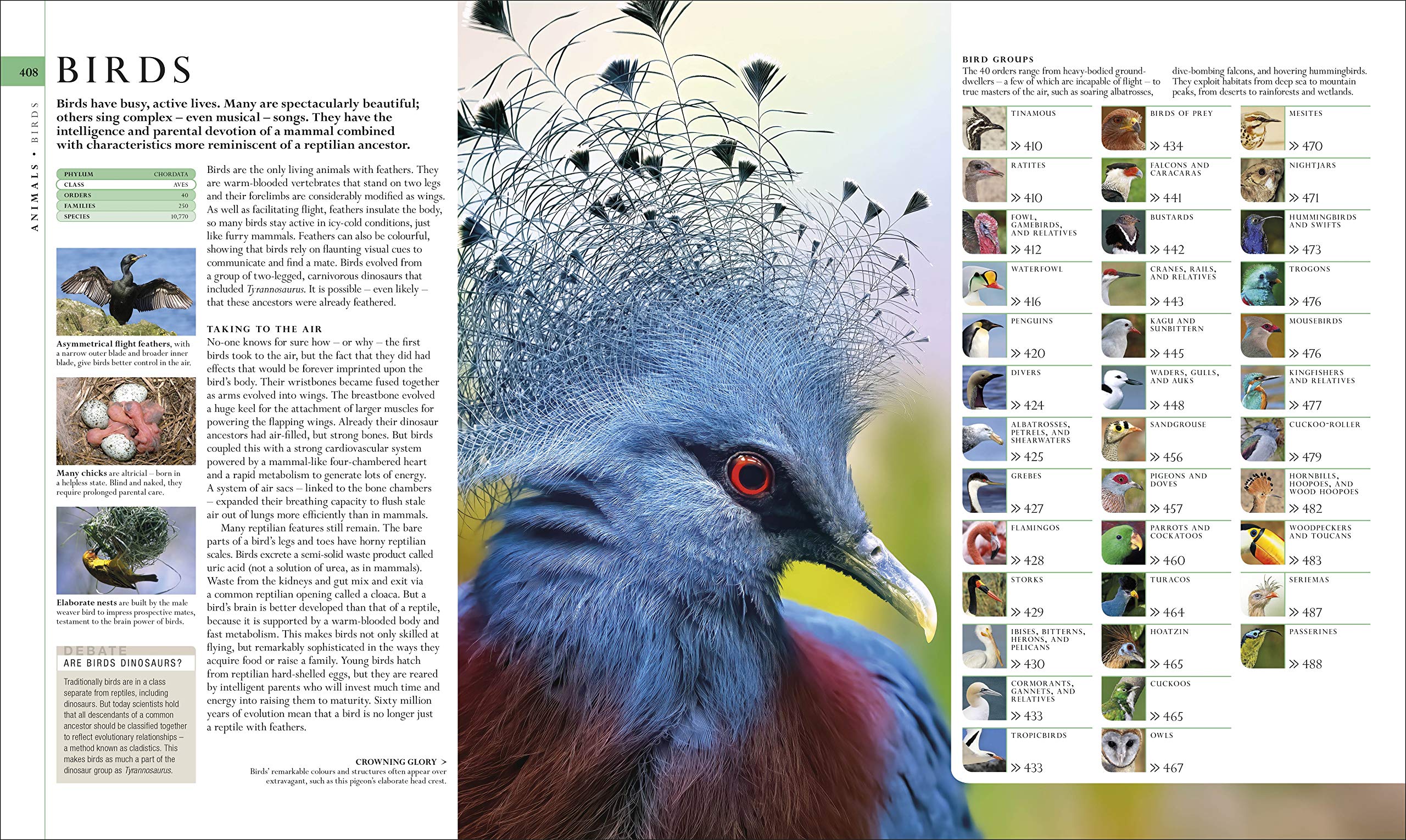 The Natural History Book - DK