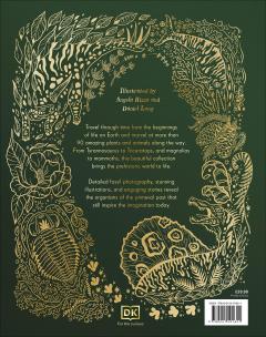 Dinosaurs and Other Prehistoric Life