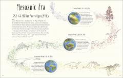 Dinosaurs and Other Prehistoric Life