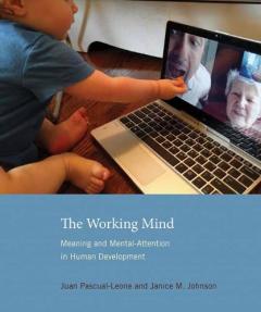 Working Mind