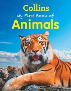 My First Book of Animals Collins