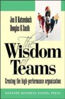 Wisdom Of Teams - European Version