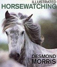 Illustrated Horsewatching