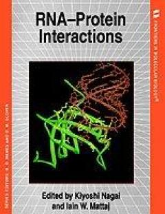 Rna-protein Interactions