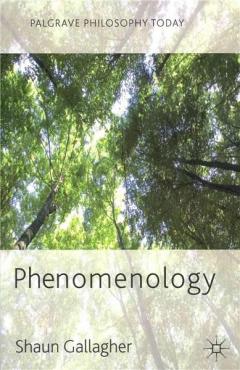 Phenomenology