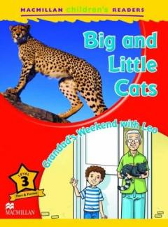 Macmillan Children's Readers - Big and Little Cats - Level 3