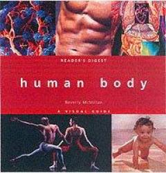 Human Body