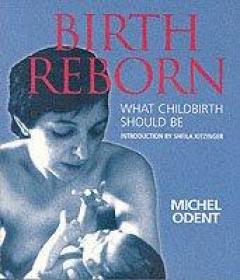 Birth Reborn
