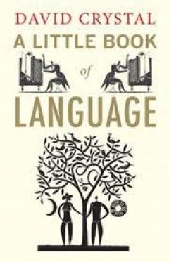 A Little Book of Language