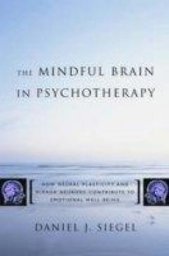 The Mindful Brain In Human Development