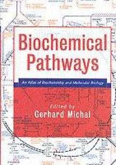 Biochemical Pathways
