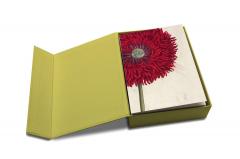 Remarkable Plants: Box of 20 Notecards