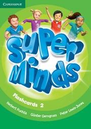 Super Minds Level 2 (Flashcards )
