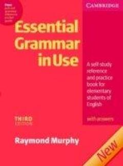 Essential Grammar In Use Edition With Answers