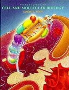 Introduction To Cell And Molecular Biology - Stephen L. Wolfe