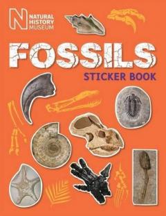 Fossils Sticker Book