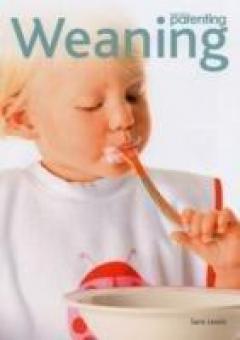Practical Parenting Sara Lewis