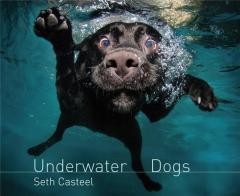 Underwater Dogs