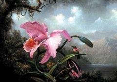 Orchid and Hummingbird Magnet