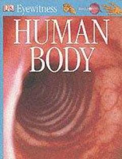 Human Body