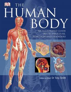 The Human Body