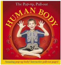 Pop-Up, Pull-Out Human Body 